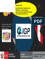Afiche Igp