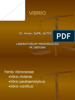 Vibrio: Dr. Azwar, SPMK, SPTHT-KL Laboratorium Mikrobiologi FK Unsyiah