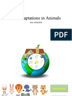 C3 Adaptations in Animals Part 1