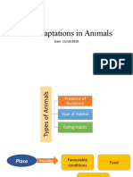 C3 Adaptations in Animals Part 2