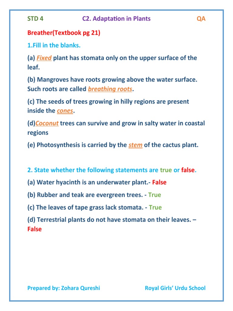 Class 4 Plant Adaptations Q&A Guide | PDF | Plants | Trees