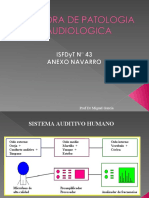 Catedra de Patologia Audiologica