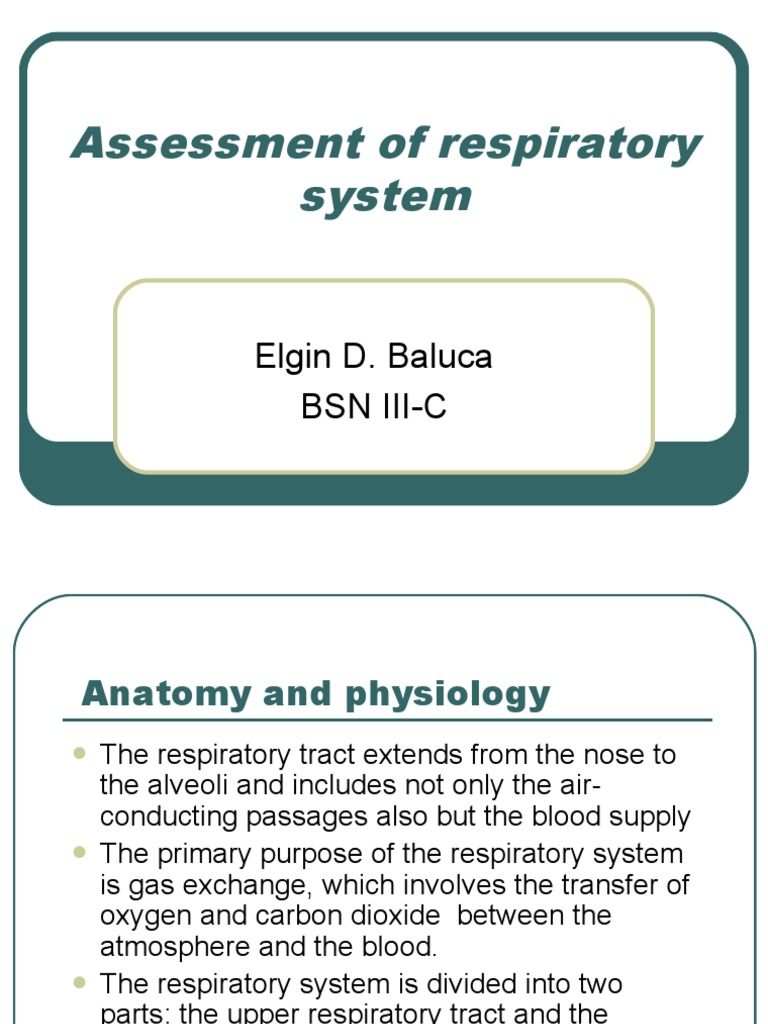 Respiratory System Assessment Guide | PDF | Respiratory Tract | Lung