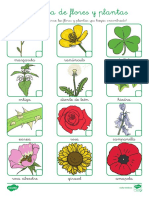 Nombres Plantas ACT PDF