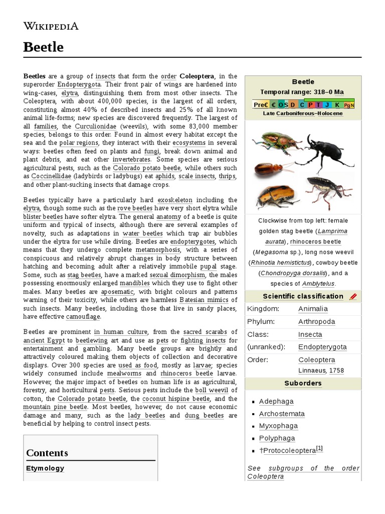 Beetle: Beetle Beetles Are A Group of Insects That Form The Order ...
