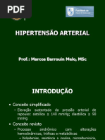 HIPERTENSAO_ARTERIAL___Santa_Luzia_1_
