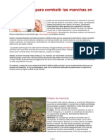 Tratamiento para las manchas 1234.pdf