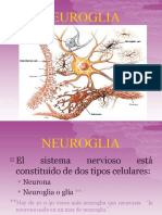 Neuroglia 1