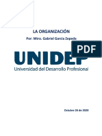 La organización (Análisis por docente Gabriel García Zepeda).pdf