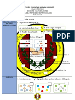 Organizaciones político-administrativas del Caquetá