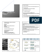 January 14 2004 Model Systems: Fly, Worm, Plants, See Wolpert Chapter 2 pp.48 - 57