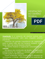 Vegetação Do Cerrado 12 Semana PDF