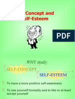 2012-2013Selfesteem and selfconcept