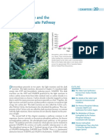 Ch20_PentosephosphatePathway