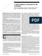 Ghrelin's Orexigenic Action Mediated by Sirtuin 1/p53 Pathway