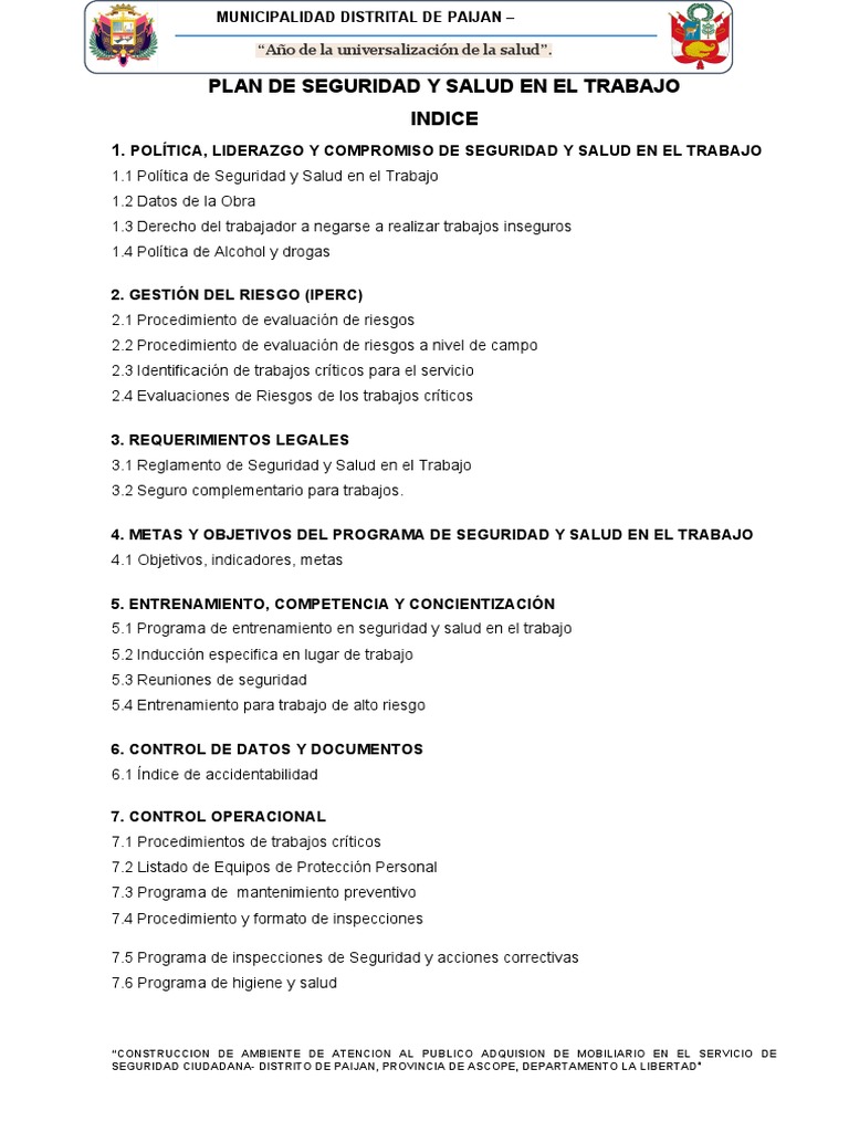 Plan de Seguridad y Salud en el Trabajo | PDF | La dependencia de ...