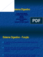 sistema_digestivo