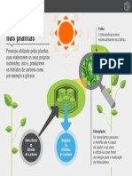 resumo ciencias fotossintesse.pdf