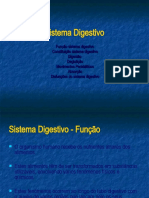 sistema_digestivo.ppt