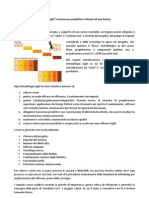 Metodologia Agile