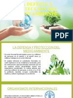 La Defensa y Proteccion Del Medio Ambiente