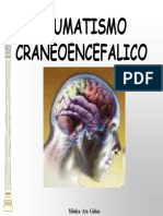 TRAUMATISMO CRANEOENCEFALICO.pdf