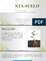 Planta Suelo