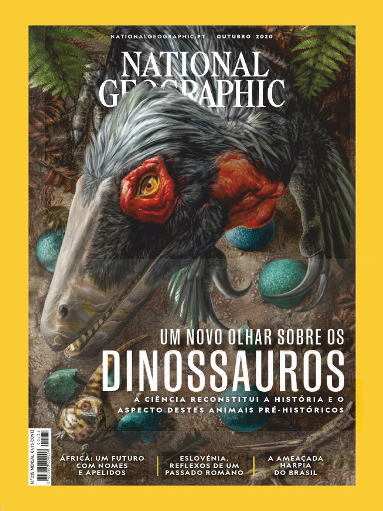 Papel de Parede Infantil Silhueta Desenho de Dinossauros - Fran