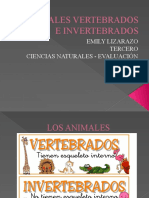 Exposicion Animales Vertebrados e Invertebrados