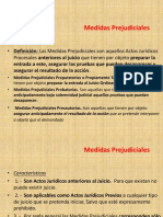 Medidas Prejudiciales PDF