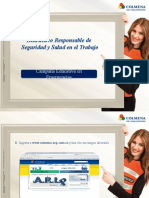 Instructivo_Responsable_Seguridad_y_Salud_en_Trabajo.pptx