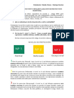 Niveles de Protección y DECLARACION PROTECCION MARITIMA - PBIP