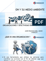 Organizacion y Su Medio Ambiente PDF