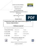 Tunisia Offshore Geopetroleum Study of Melloussi Reservoir