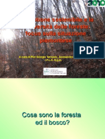 Piergiorgio Terzuolo - La Gestione Sostenibile e La Biodiversità Delle Foreste