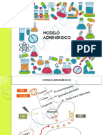Adrenergico 1 PDF