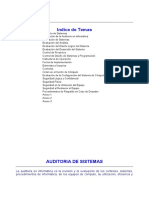 Manual Auditoria y Checklist