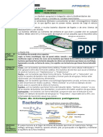 Conocemos Las Bacterias 1ro PDF