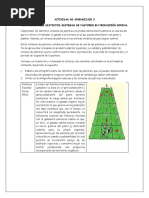 Comprender los distintos sistemas de pastoreo en producción bovina