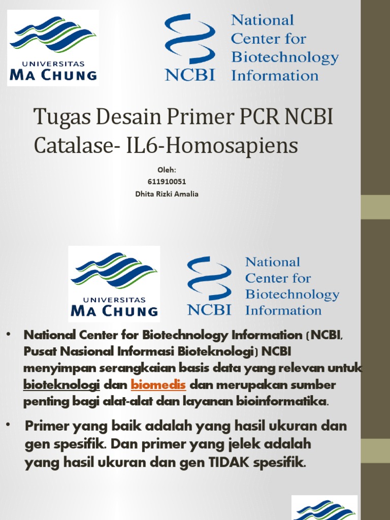 Tugas Desain Primer PCR NCBI PDF