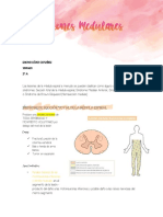 Lesiones Medulares 