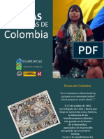 7 9etniasyculturasdecolombiaga 120117095221 Phpapp01