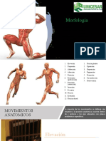 Movimiento Anatomicos Terminado 1