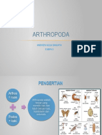 Arthropoda