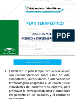 Plan Terapeutico Diabetes M 2 Posadas Junio 2017