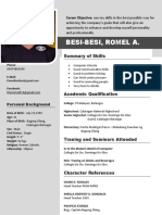 Besi-Besi, Romel A.: Summary of Skills