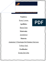 Trabajo Final de Anatomía y Fisiología Del Sistema Nervioso