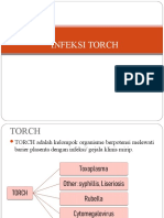 INFEKSI TORCH MENYERANG JANIN