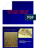 KLP HAMA TANAMAN