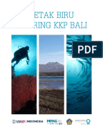 blue print bali mpa network.pdf